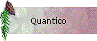 Quantico